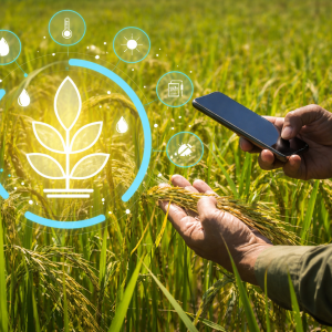 From High Costs to Viable Markets: Rethinking Agricultural Economics in Oman